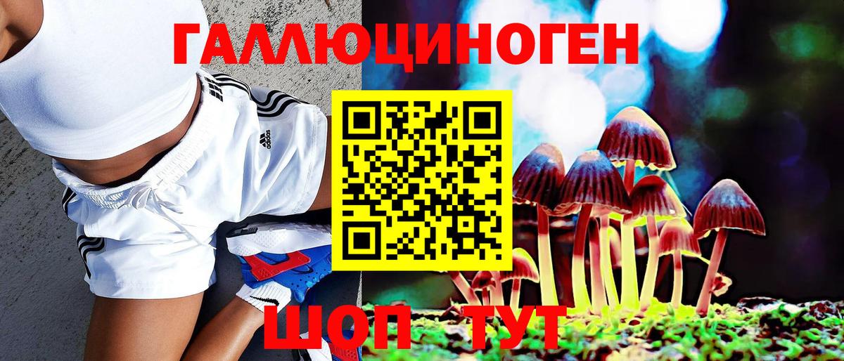 Псилоцибиновые грибы Psilocybine cubensis Можайск